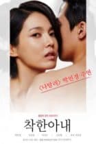 Movie poster: The Kind Wife (2016) [เกาหลี 18+]