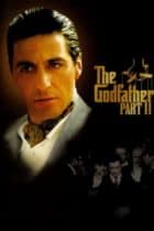 The Godfather 2 (1974) 2