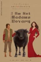I Am Not Madame Bovary (Wo Bu Shi Pan Lin Lian) (2016)