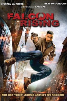 Falcon Rising (2014) ฟัลคอน ไรซิ่ง ผงานล่าแค้น(Soundtrack ซับไทย)