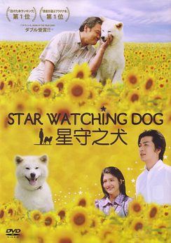 Star Watching Dog