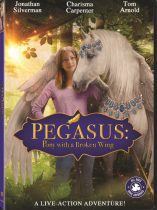 Pegasus Pony with a Broken Wing
