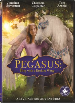 Pegasus Pony with a Broken Wing