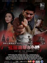 Fist Of The Dragon