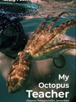 My Octopus Teacher (2020)