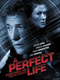 A Perfect Life (2010)