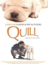 Quill The Life of a Guide Dog