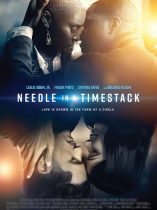 Needle in a Timestack (2021)