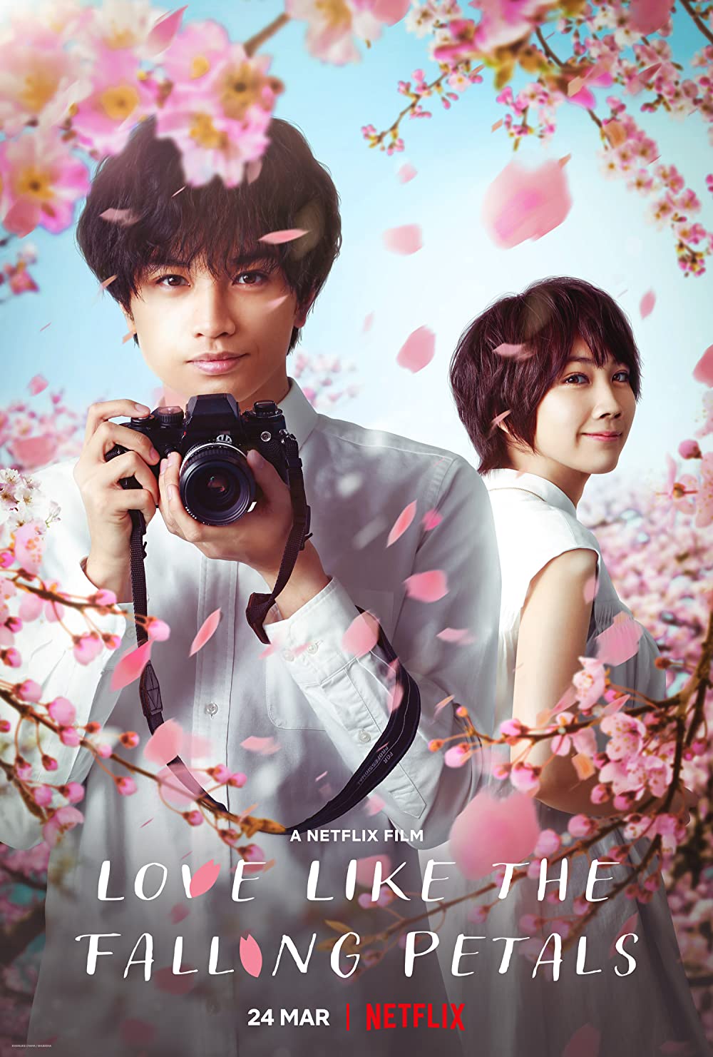 Love Like The Falling Petals (2022) ใบไม้ผลิที่ไม่มีเธอเป็นซากุระ