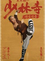 Rising Shaolin The Protector (2021)