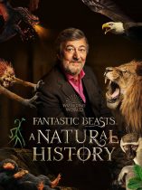 Fantastic Beasts: A Natural History (2022)